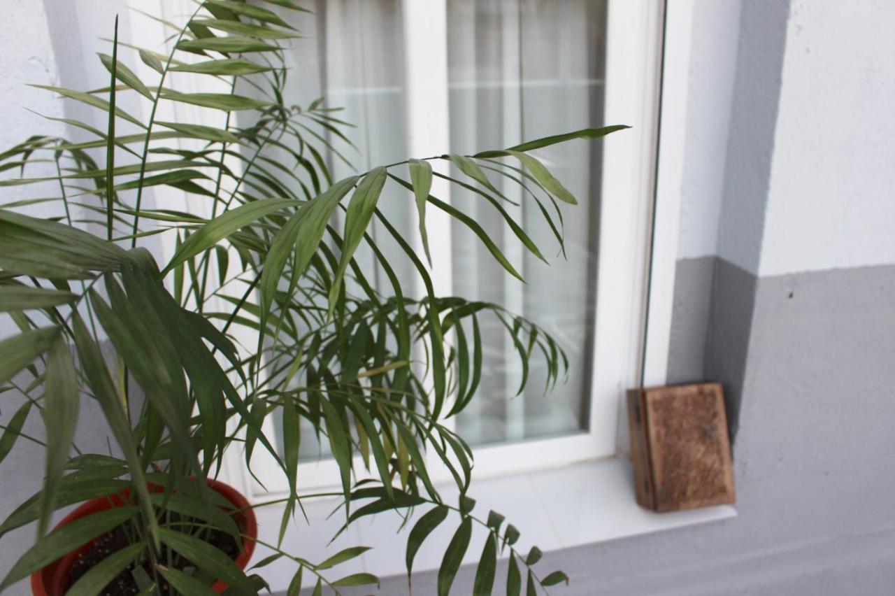 דירות מדריד Precioso Apartamento Con Terraza מראה חיצוני תמונה